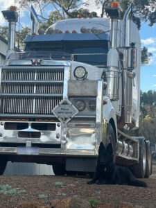 Western Star 4900 Prime Mover