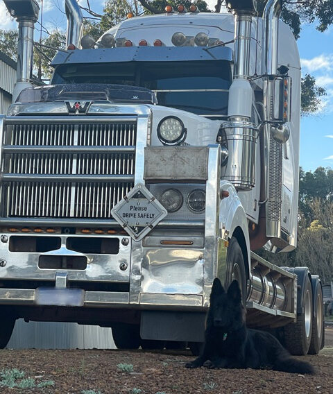Western Star Truck in the Mount Barker Machinery Transport Fleet